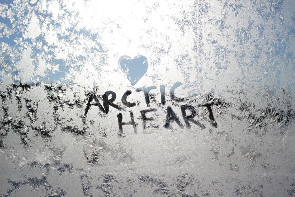 Guesthouse Arctic Heart Рованіемі Екстер'єр фото